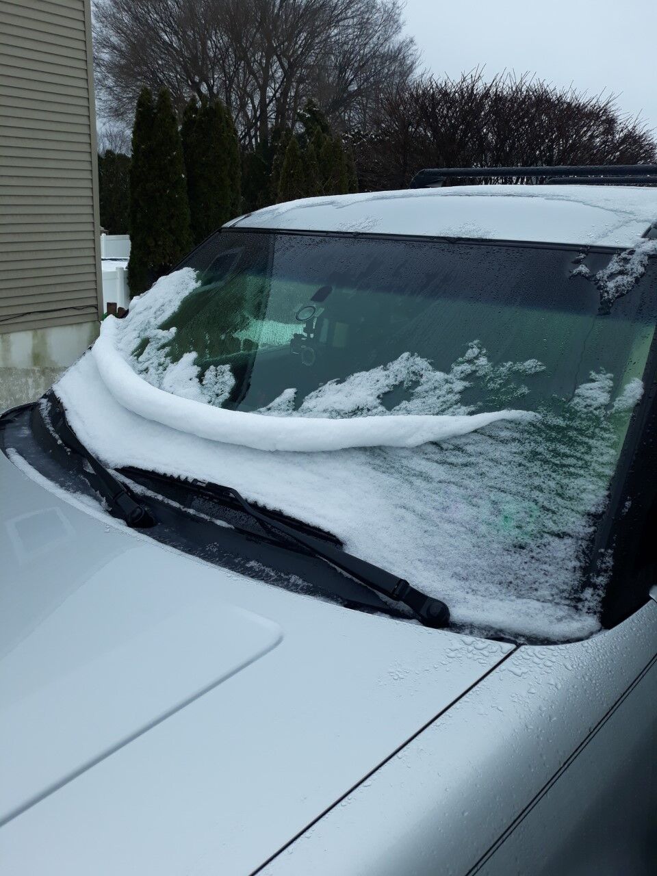 snow2.jpg